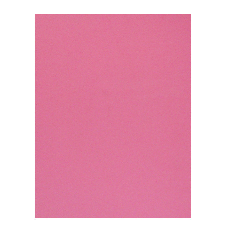 Foamy Liso Rosa Pastel Carta 24 piezas Pascua