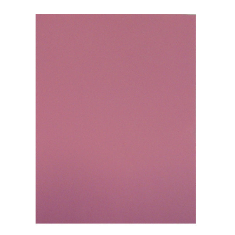 Foamy Liso Rosa Pastel 95 x 70 cm 5 piezas Pascua