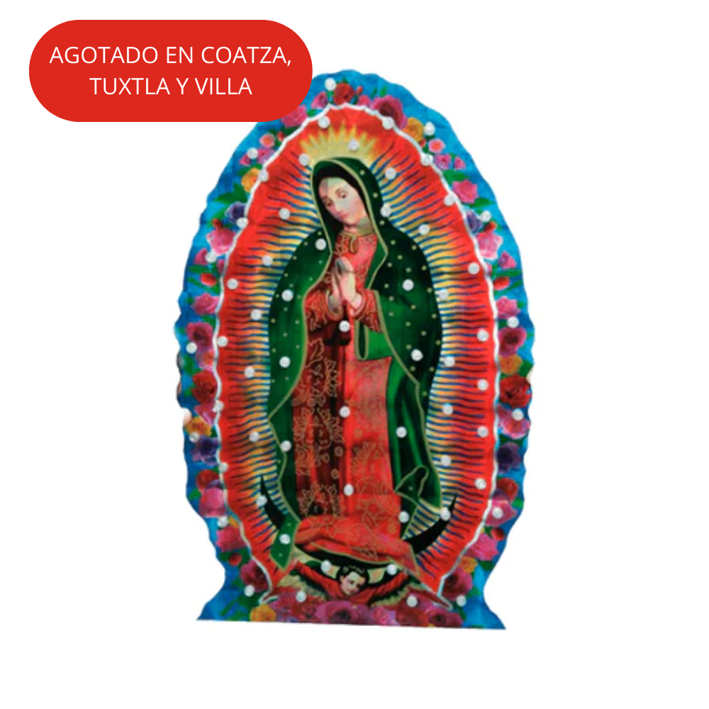 Luz Navidad 60L Led Virgen de Guadalupe Color Navicolors