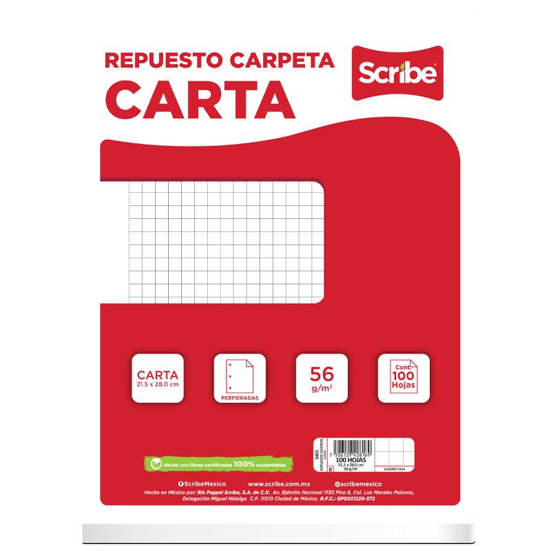 Hojas de Repuesto Carta Cuadro Grande Paquete/100 hjs Scribe