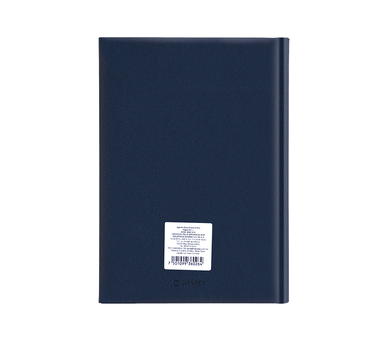 Agenda Diaria 2024 14.5 x 20.5 cm Shot Azul Danpex