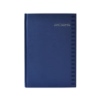 Agenda Diaria 2025 14.5 X 20.5 Shot Azul Danpex