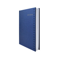 Agenda Diaria 2025 14.5 X 20.5 Shot Azul Danpex