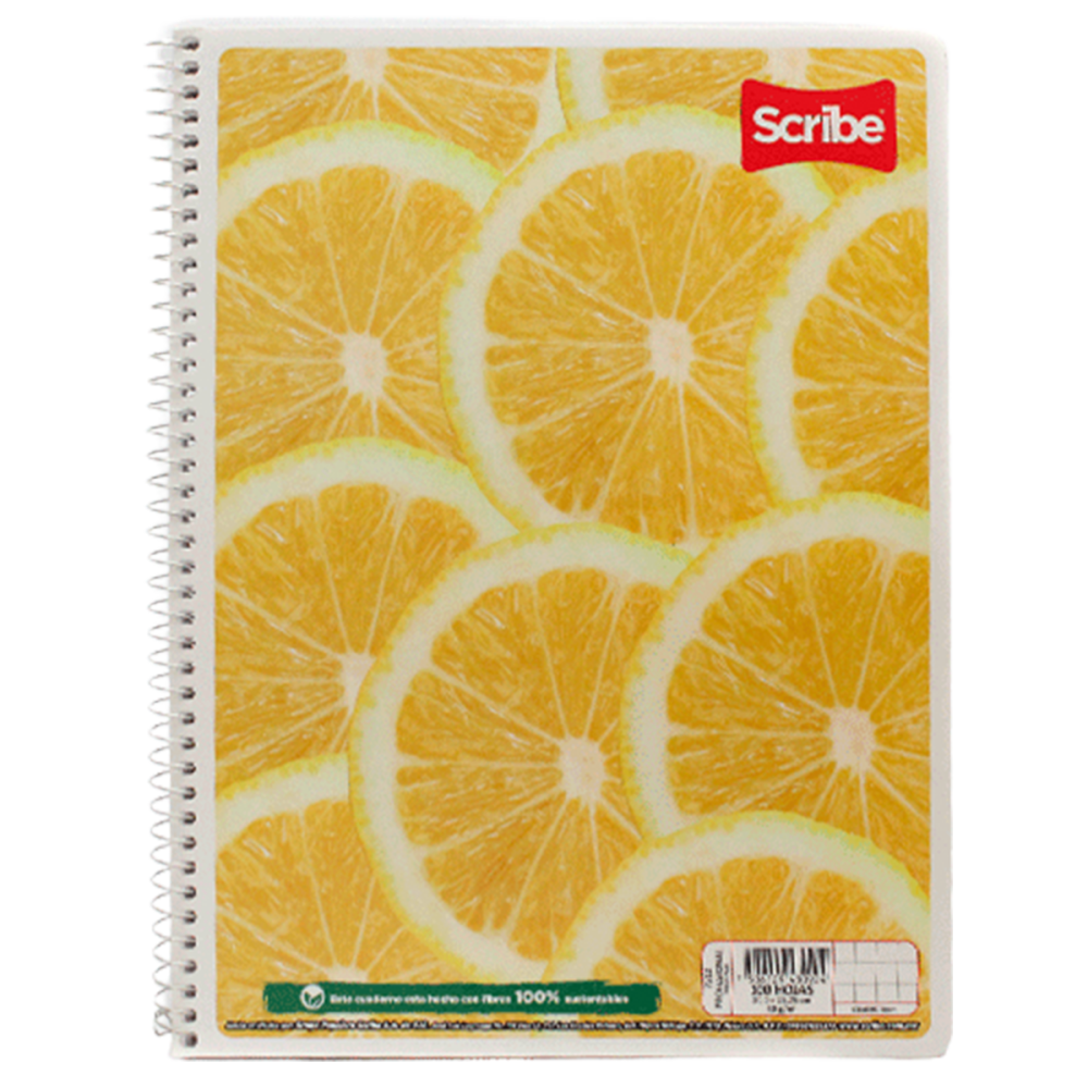 Cuaderno Profesional Espiral Cuadro Chico 100 Hjs Scribe