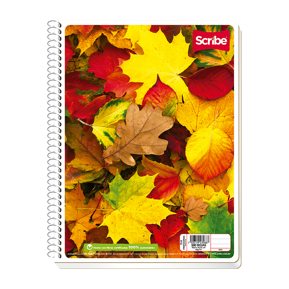 Cuaderno Profesional Espiral Cuadro Grande 100 hjs Mega Plus Scribe