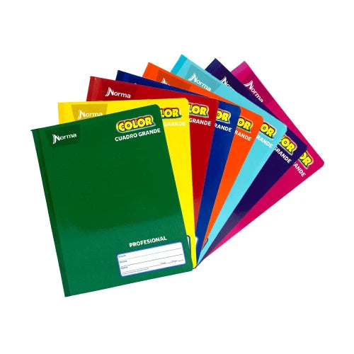 Cuaderno Cosido Profesional Cuadro Grande 100 hjs Norma